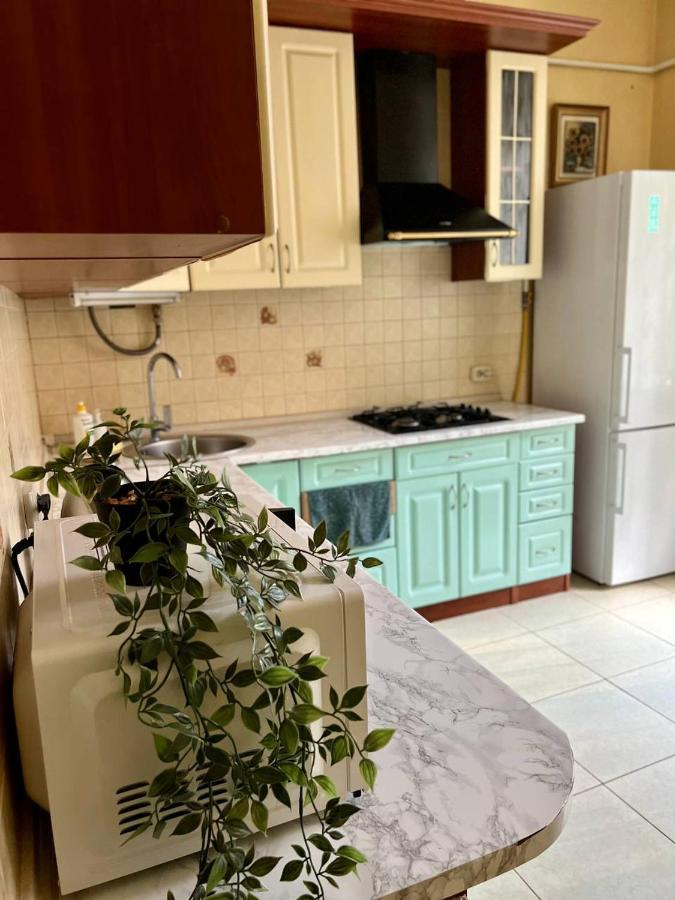 Apartment On Hnatiuka With Parking Lviv Buitenkant foto